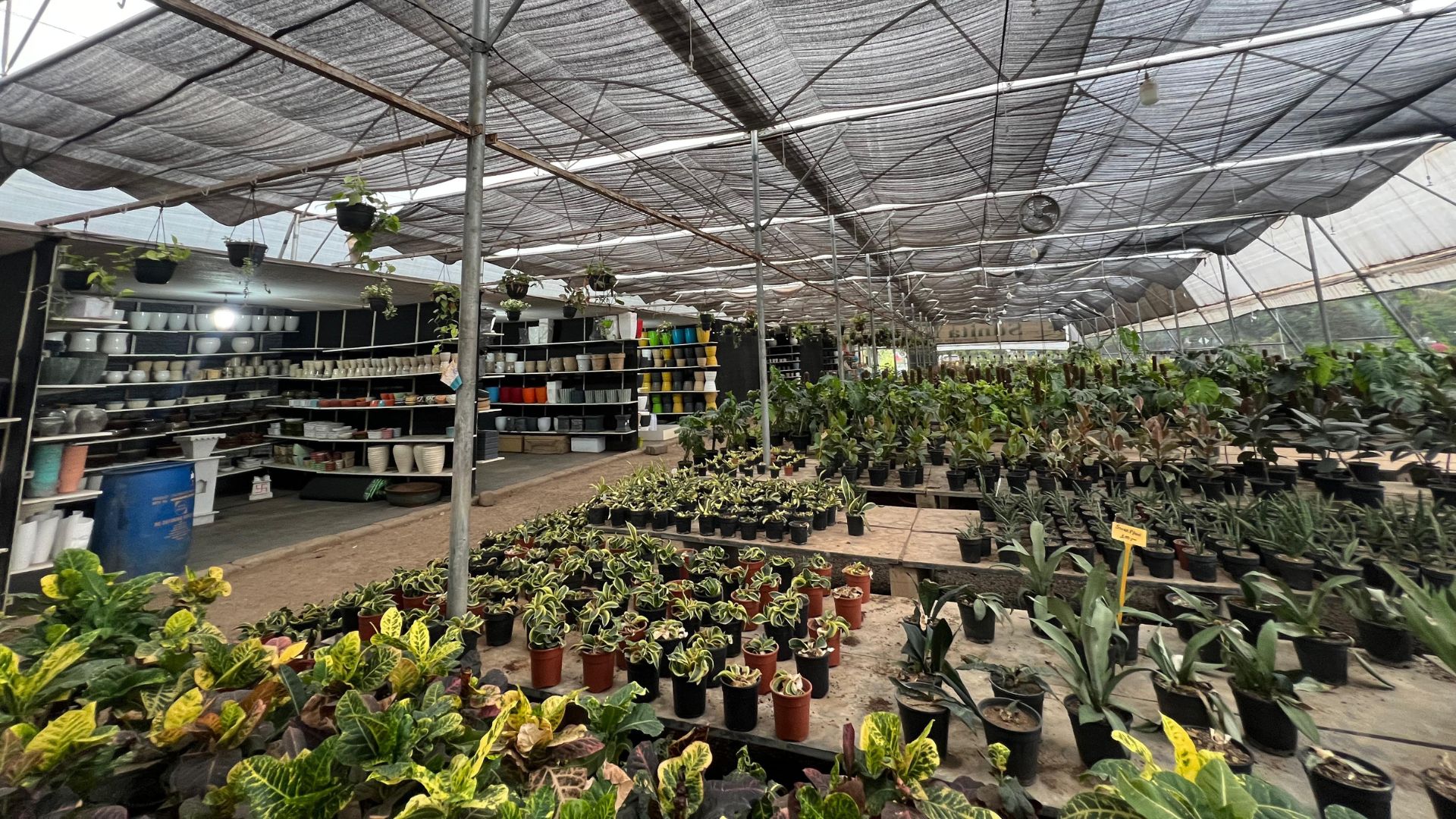 Our team at GreenGarden